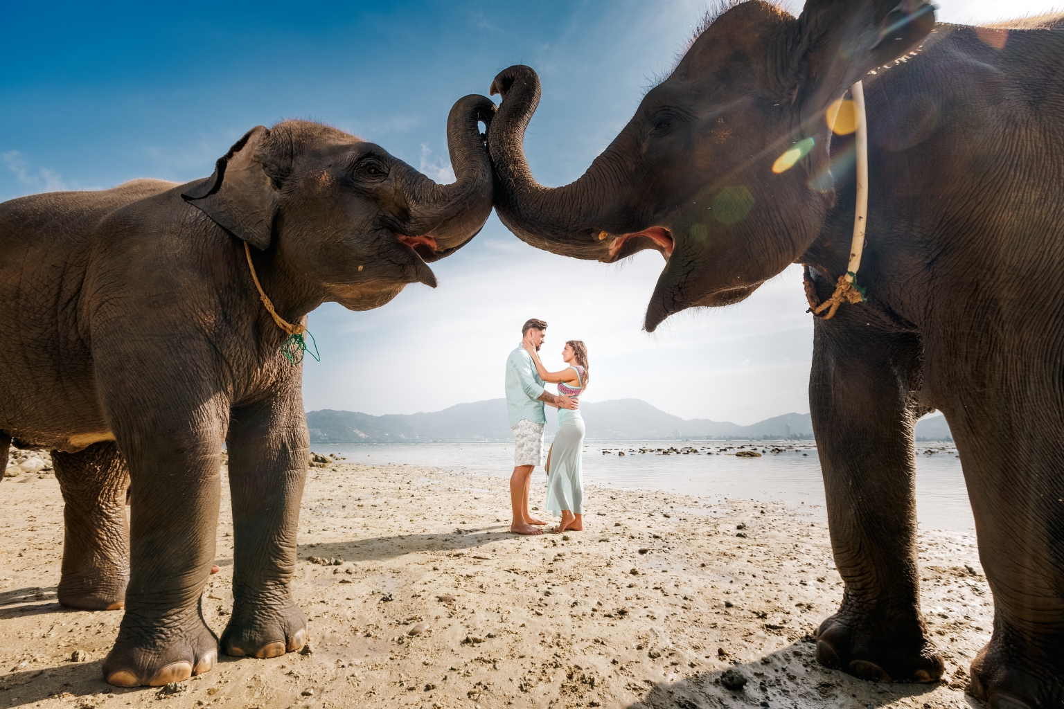 couple photoshoot with elephants at lucky beach phuket